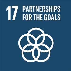 Partners for the goals logo